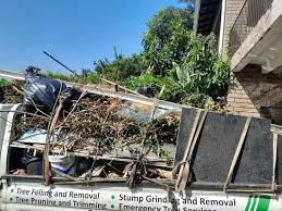 Shed Removal in Ferdinand, IN