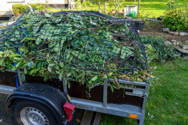 Best Yard Waste Removal  in Ferdand, IN